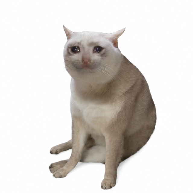 CashCat surveillance